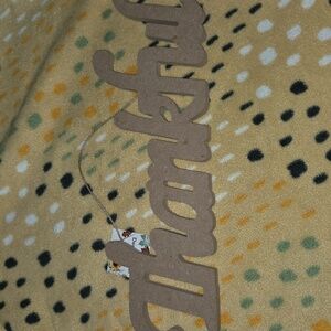 🩷3 For $10🩷Wooden Thankful Sign New